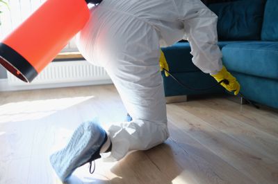 Spider Fumigation Service in Santa Fe, NM
