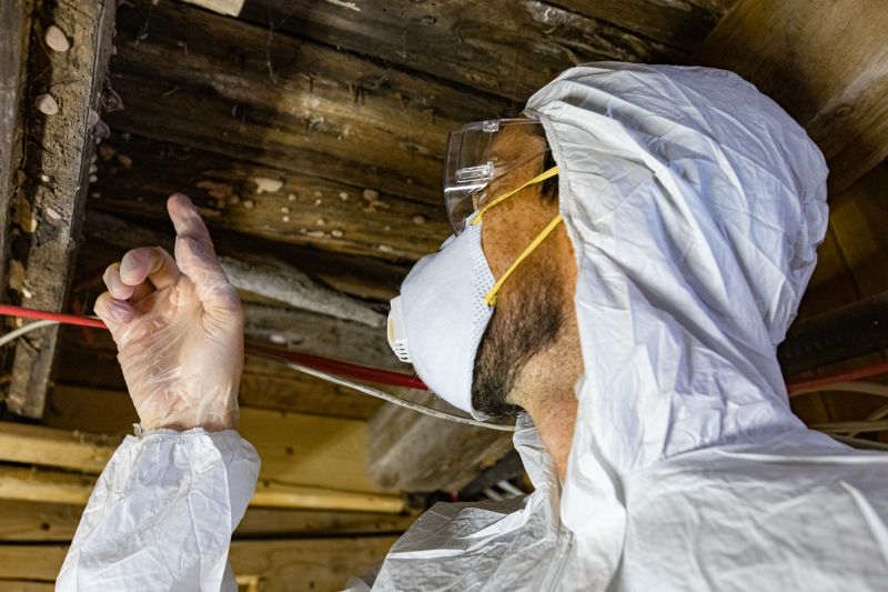 Attic and Roof Inspection