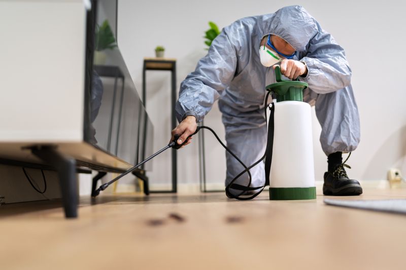 Spider Fumigation Service in Fredericksburg, VA